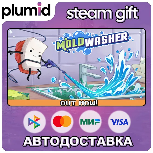 Moldwasher Steam Gift / Россия + МИР / АВТО