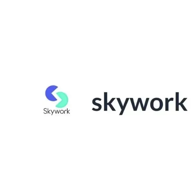 Международная версия участника Skywork/безопасность и удобство