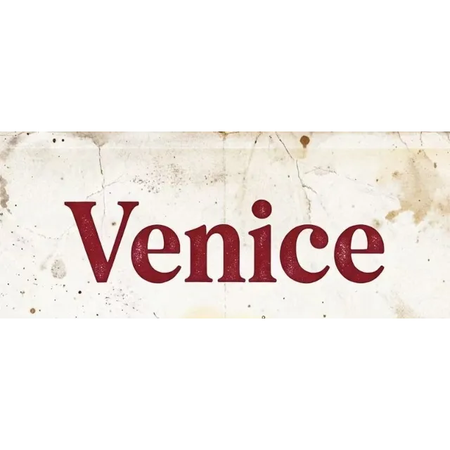 Перезарядка для профессионального члена venice ai Pro/безопасно и надежно
