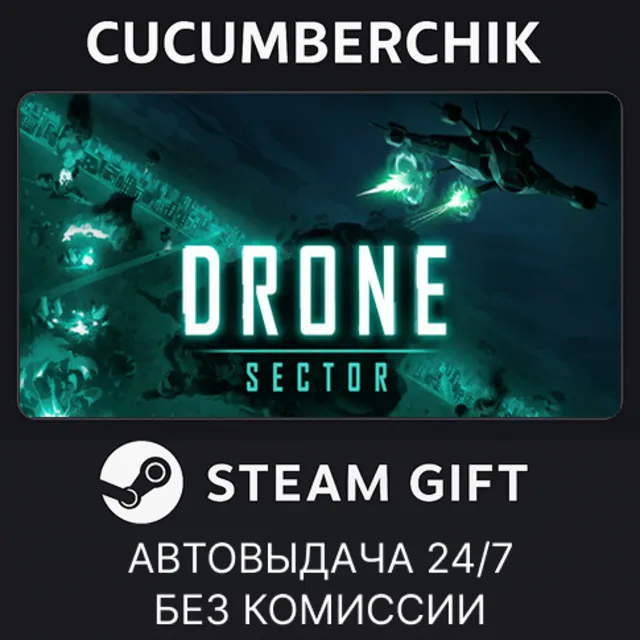 Drone Sector✅STEAM GIFT AUTO✅RU+МИР