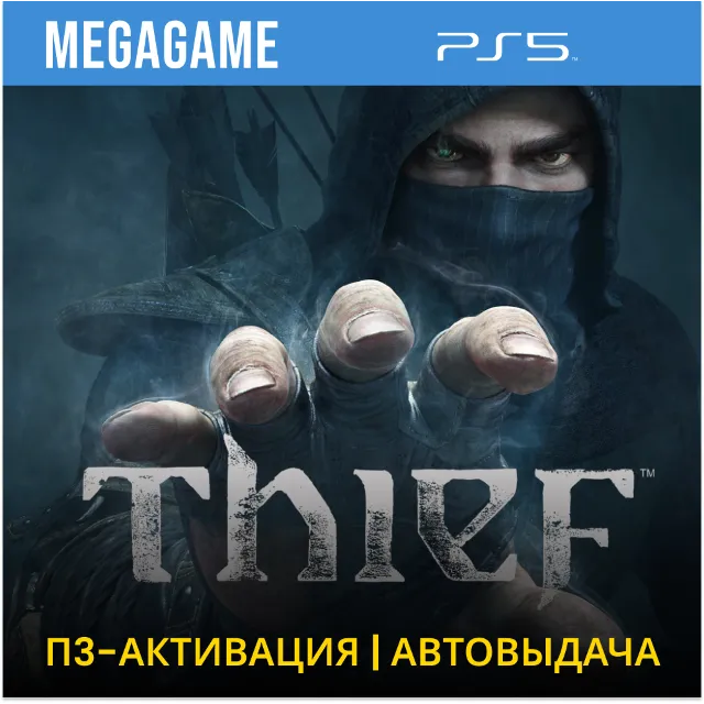 Thief  (PS5/RUS) П3-Активация