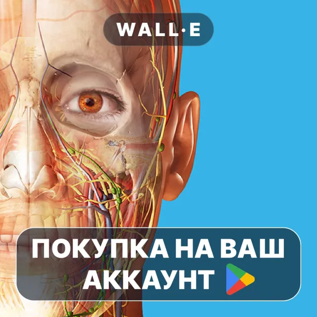 🎮 Human Anatomy Atlas 2026 | Google Play ПОКУПКА НА ВАШ АККАУНТ | Android