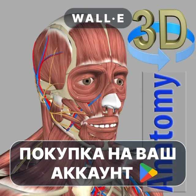 🎮 3D Anatomy | Google Play ПОКУПКА НА ВАШ АККАУНТ | Android