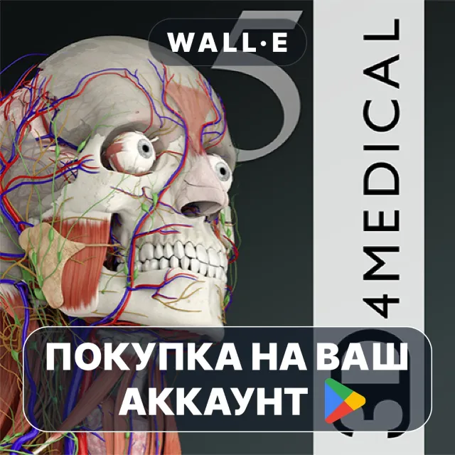 🎮 Essential Anatomy 5 | Google Play ПОКУПКА НА ВАШ АККАУНТ | Android