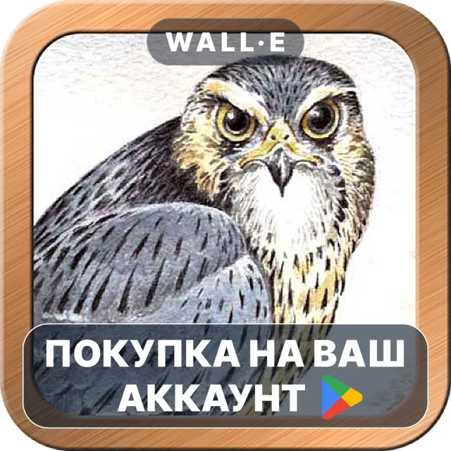 🎮 Druid Oracle Cards | Google Play ПОКУПКА НА ВАШ АККАУНТ | Android