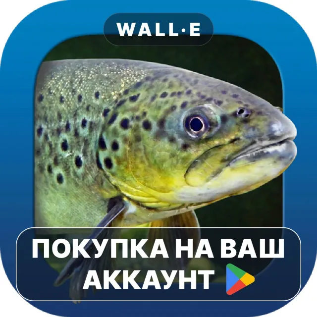 🎮 Heintges Angelschein Trainer | Google Play ПОКУПКА НА ВАШ АККАУНТ | Android