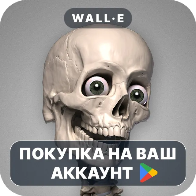 🎮 Skelly: Poseable Anatomy Model | Google Play ПОКУПКА НА ВАШ АККАУНТ | Android