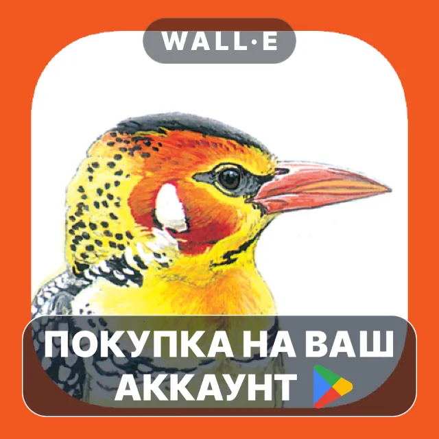 🎮 eGuide to Birds of East Africa | Google Play ПОКУПКА НА ВАШ АККАУНТ | Android