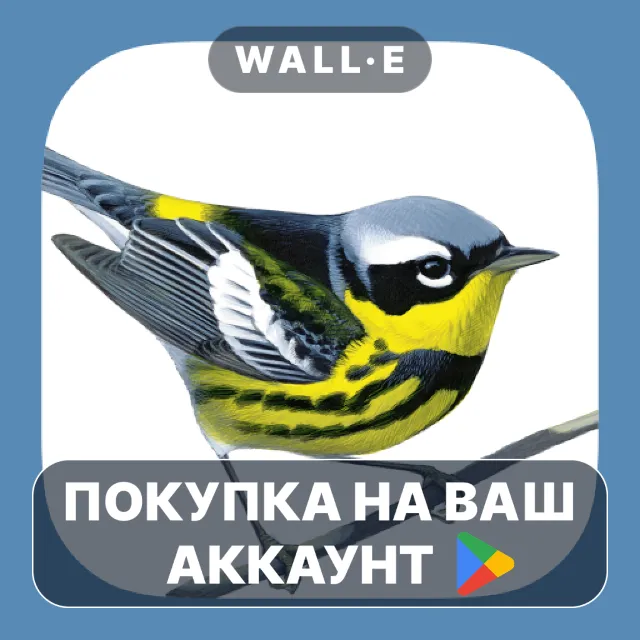 🎮 Sibley Birds 2nd Edition | Google Play ПОКУПКА НА ВАШ АККАУНТ | Android