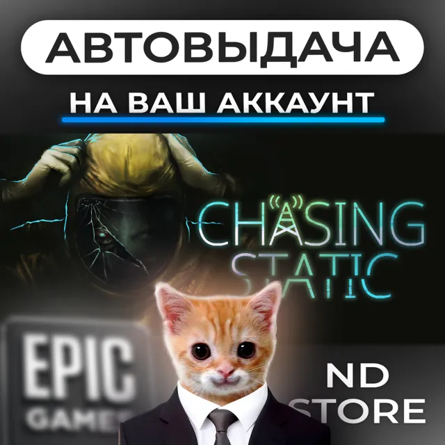 АВТО 24/7 | Chasing Static | Epic Games Издания и DLC | ЛЮБОЙ РЕГИОН