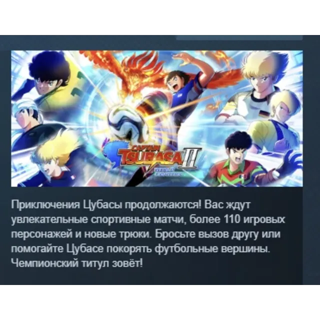 CAPTAIN TSUBASA 2: WORLD FIGHTERS АВТОДОСТАВКА STEAM GLOBAL МГНОВЕННО ЛИЦЕНЗИЯ