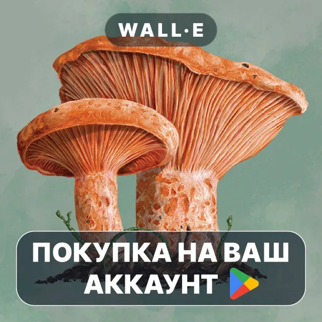🎮 Mycelia: The Board Game | Google Play ПОКУПКА НА ВАШ АККАУНТ | Android