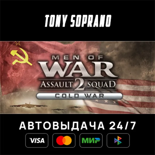 Men of War: Assault Squad 2 - Cold War STEAM GIFT