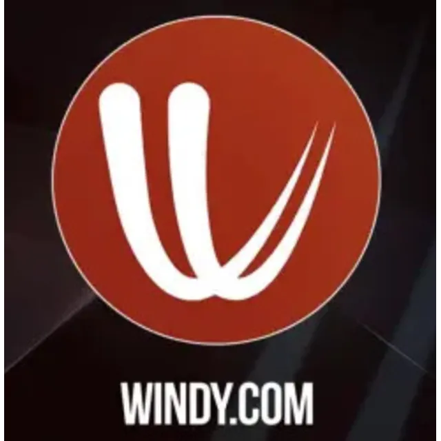 Премиум-аккаунт Windy.com на 12 месяцев. Глобальная гарантия