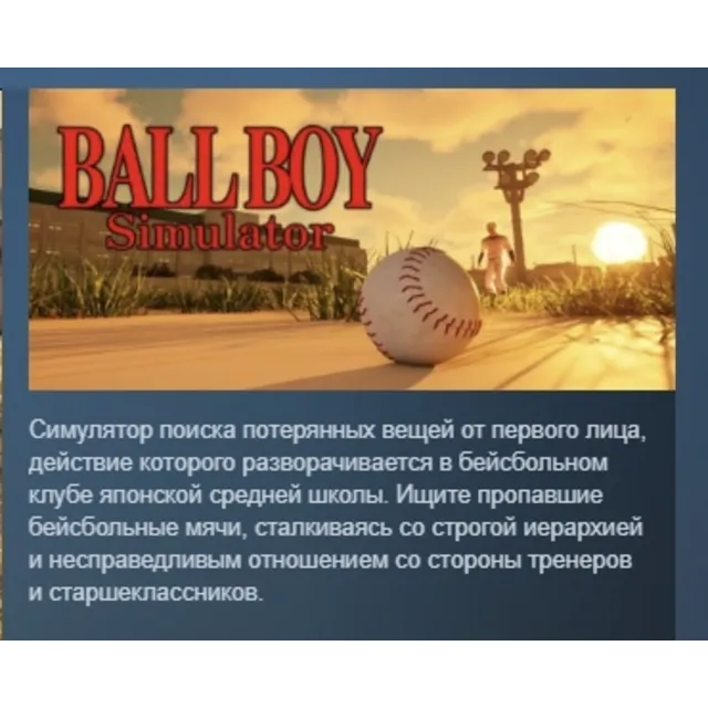 BALL BOY Simulator АВТОДОСТАВКА STEAM GLOBAL МГНОВЕННО ЛИЦЕНЗИЯ