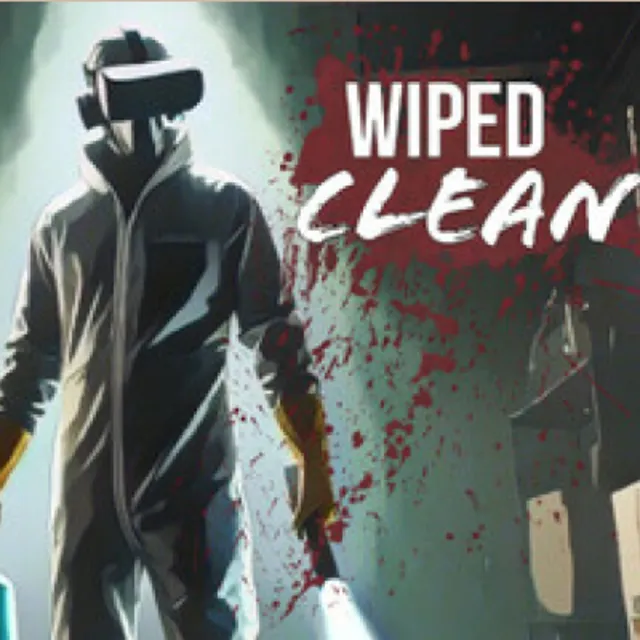Wiped Clean Oculus Quest