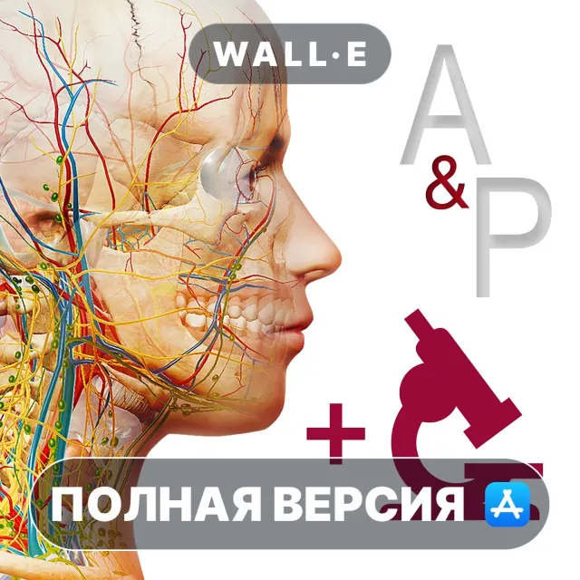 Anatomy &amp; Physiology Mac MacOS MacStore AppStore