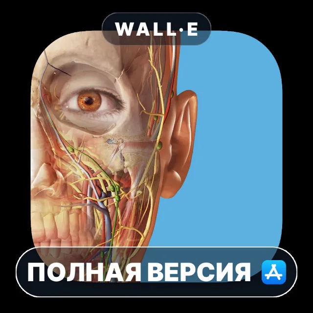 3D Human Anatomy Atlas 2026 Mac MacOS MacStore AppStore