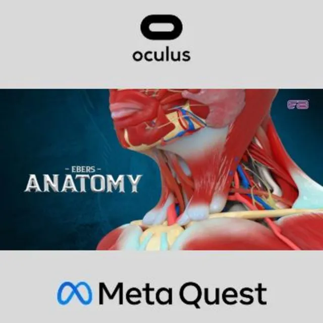 Ebers Anatomy Oculus Quest