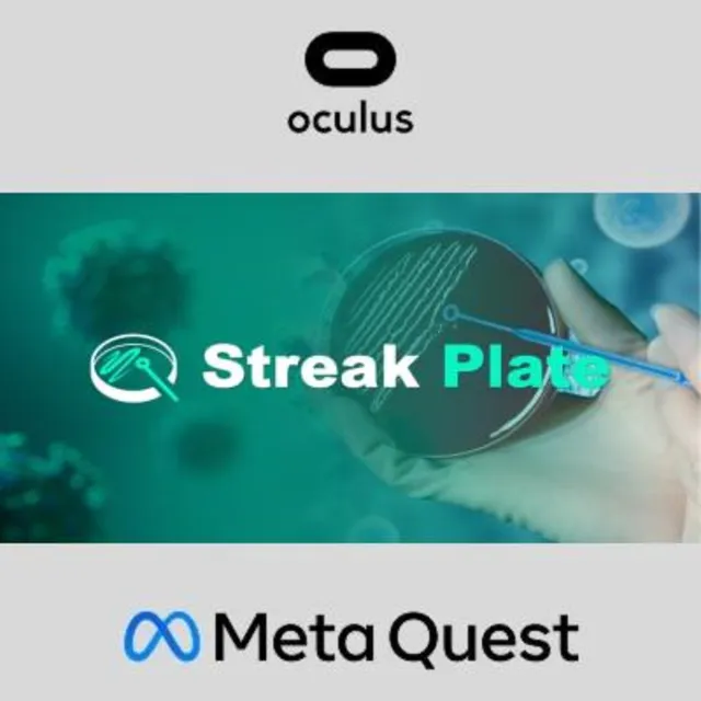 Streak Plate Oculus Quest