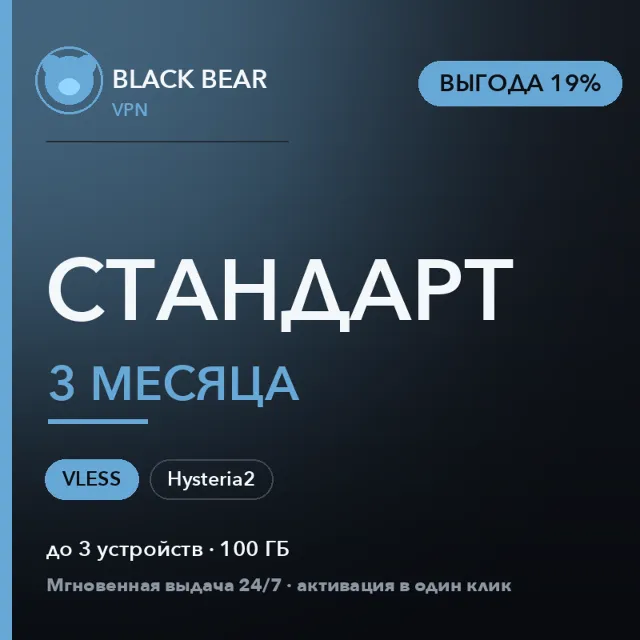 Black Bear VPN Стандартный 3 месяца VLESS и Hysteria2