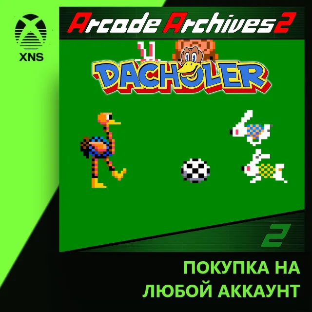 Arcade Archives 2 DACHOLER Xbox+PC | Любой аккаунт