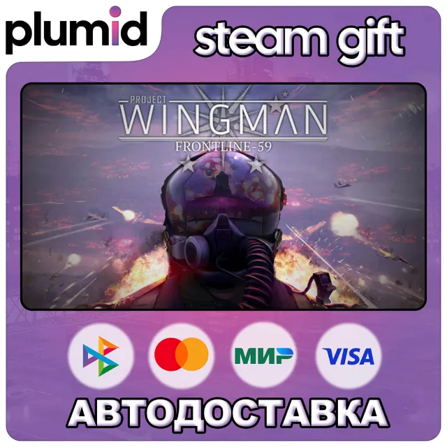 DLC Project Wingman - Frontline 59 Campaign Steam Gift / Россия + МИР / АВТО