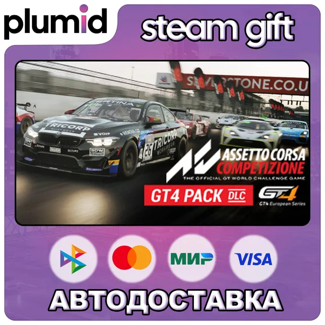 DLC Assetto Corsa Competizione - GT4 Pack Steam Gift / Россия + МИР / АВТО