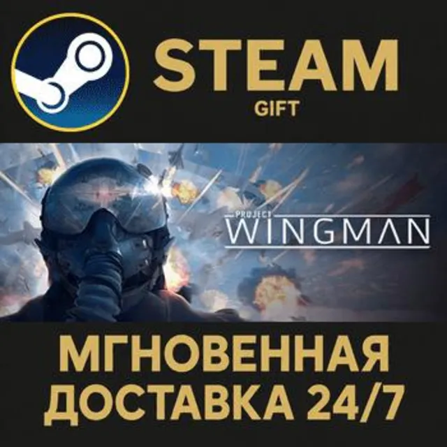 Project Wingman РОССИЯ RU Steam Gift СТИМ ГИФТ ПК АВТОДОСТАВКА ПОДАРОК