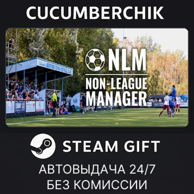Non-League Manager✅STEAM GIFT AUTO✅RU+МИР