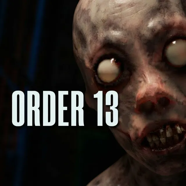 ORDER 13 (Ключ Steam | РФ+Весь мир)