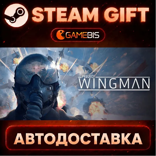 Project Wingman — Steam Gift | СТИМ ГИФТ | АВТОДОСТАВКА